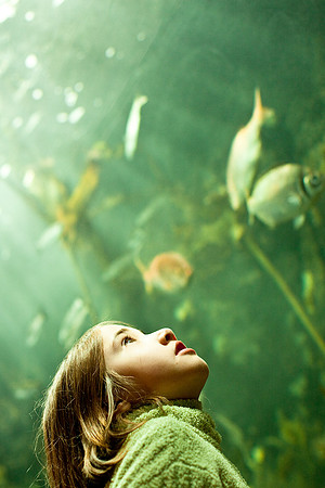 aquariumright