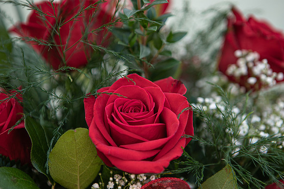 arrangements-023