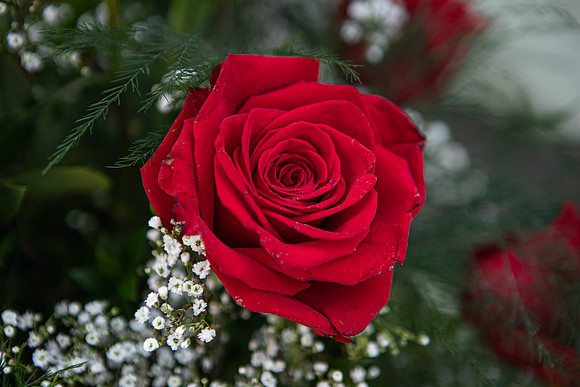 arrangements-024