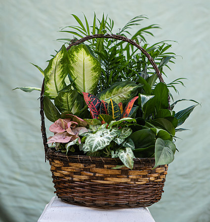 arrangements-026